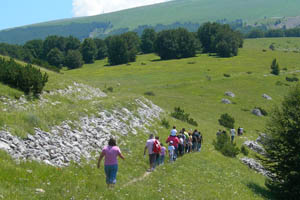 escursione